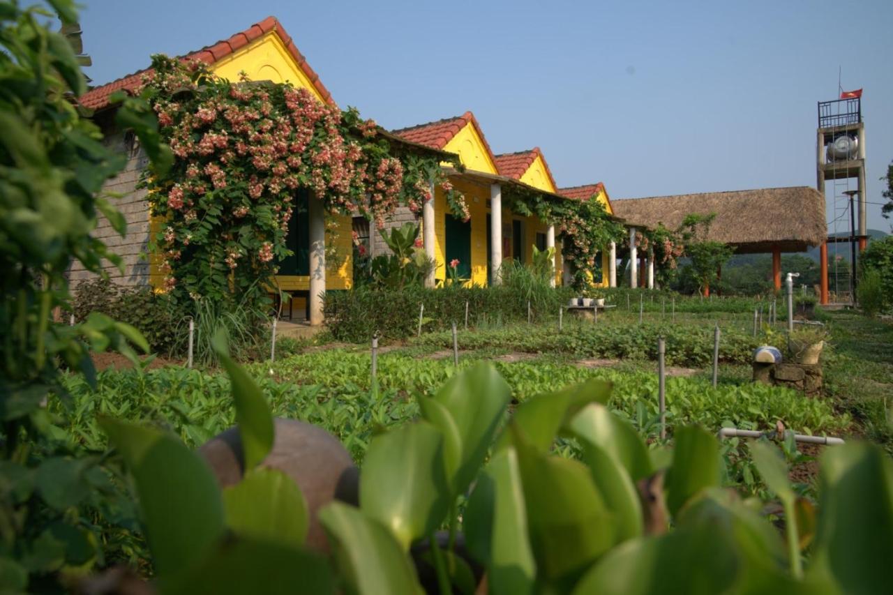 Greenfield Ecostay Phong Nha Dış mekan fotoğraf