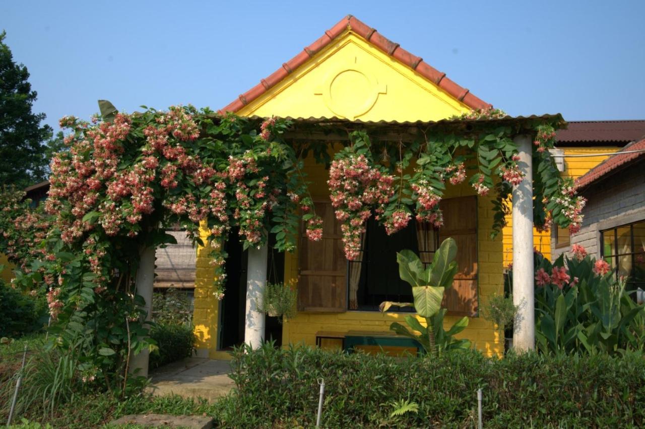 Greenfield Ecostay Phong Nha Dış mekan fotoğraf